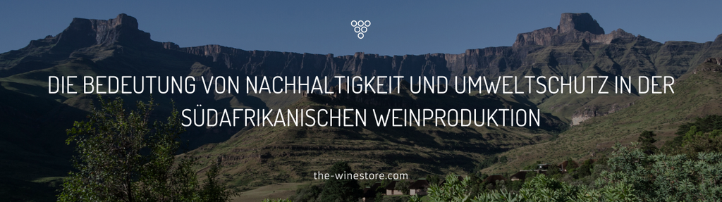 The importance of sustainability and environmental protection in South African wine production