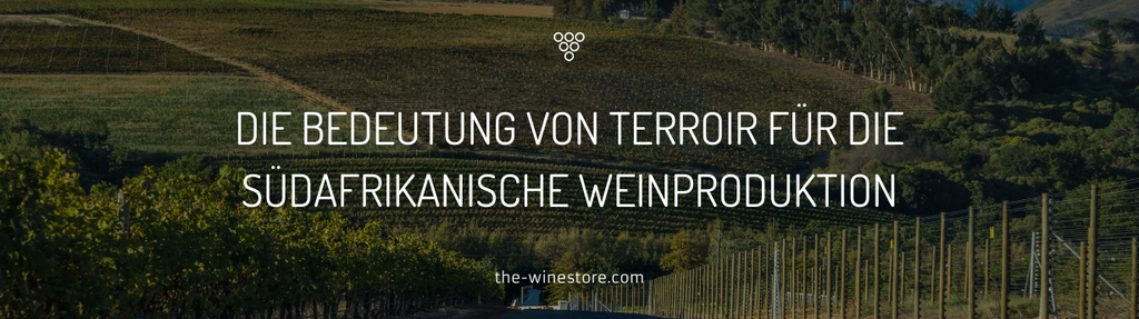 The importance of terroir in South African wine production