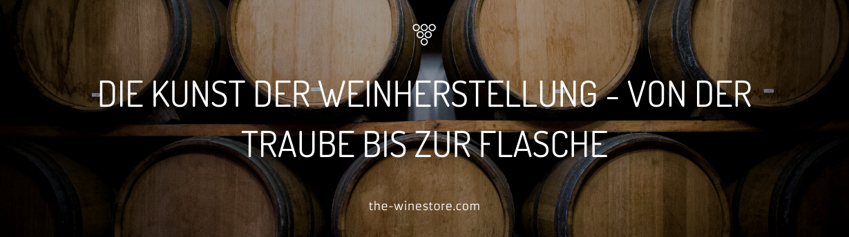 Die Kunst der Weinherstellung - Ein Blick hinter die Kulissen