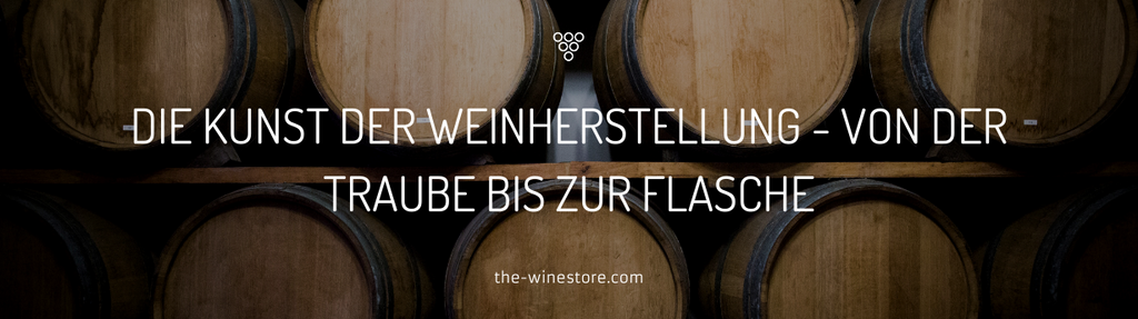 The art of winemaking - a look behind the scenes