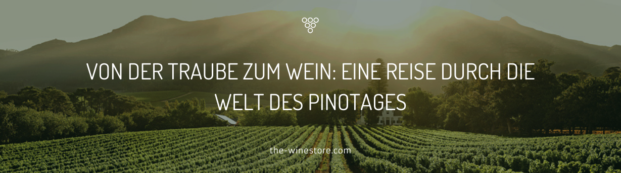 From grapes to wine: a journey through the world of Pinotag