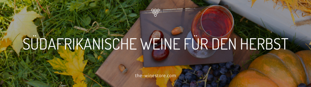 South African wines for autumn - recommendations for full-bodied red wines