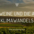 Les vins sud-africains et les effets du changement climatique