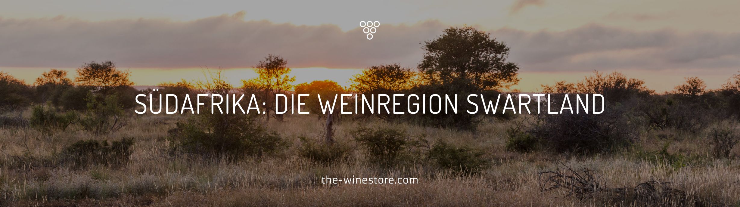 Sud-africain : région viticole du Swartland