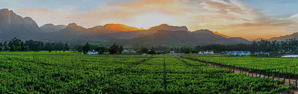 Franschhoek Cellar