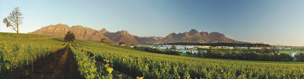Kleine Zalze