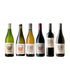 Introducing Beau Constantia