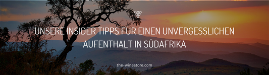 Unsere Insider-Tipps für einen unvergesslichen Urlaub in Südafrika 