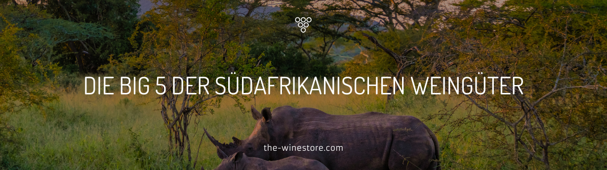 The Big 5 South African wineries - the best locations and their backgrounds