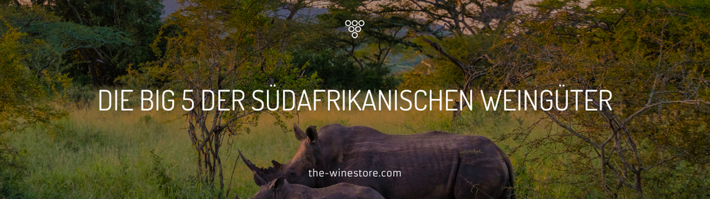 De Big 5 Zuid-Afrikaanse wijnhuizen - de beste locaties en hun achtergronden