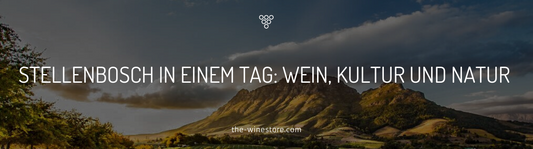 Stellenbosch in einem Tag: Wein, Kultur und Natur