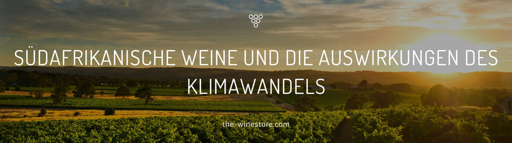 Les vins sud-africains et les effets du changement climatique