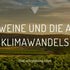 South African wines and the effects of climate change