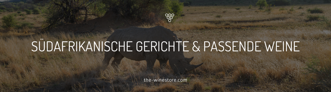 Südafrikanische Gerichte und passende Weine