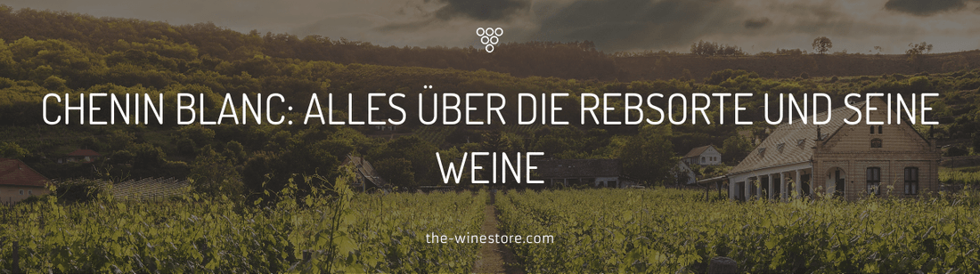 Chenin Blanc: Alles über die Rebsorte und seine Weine - The WineStore