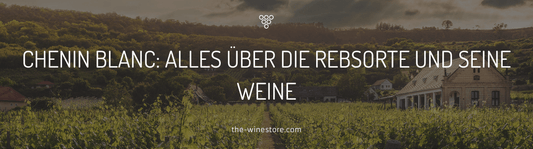 Chenin Blanc: Alles über die Rebsorte und seine Weine - The WineStore