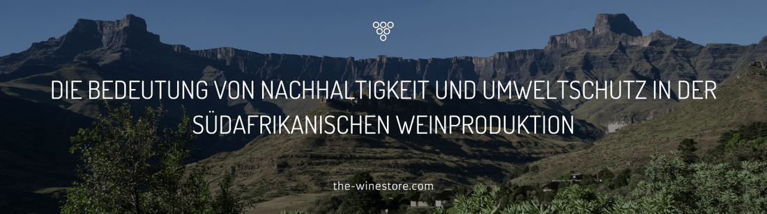 Die Bedeutung von Nachhaltigkeit und Umweltschutz in der südafrikanischen Weinproduktion - The WineStore
