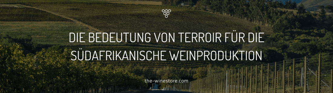 Die Bedeutung von Terroir für die südafrikanische Weinproduktion - The WineStore