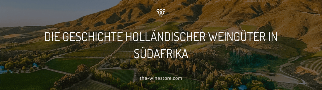 Die Geschichte holländischer Weingüter in Südafrika - von den Niederlanden ans Kap der guten Weine - The WineStore