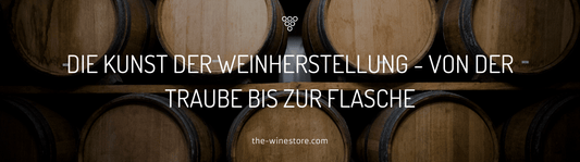 Die Kunst der Weinherstellung - Ein Blick hinter die Kulissen - The WineStore
