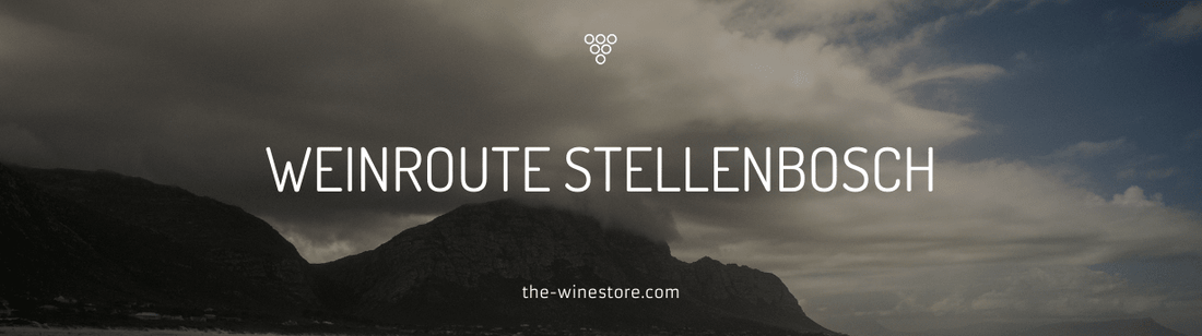 Interview mit Clarissa Hagemann - The WineStore