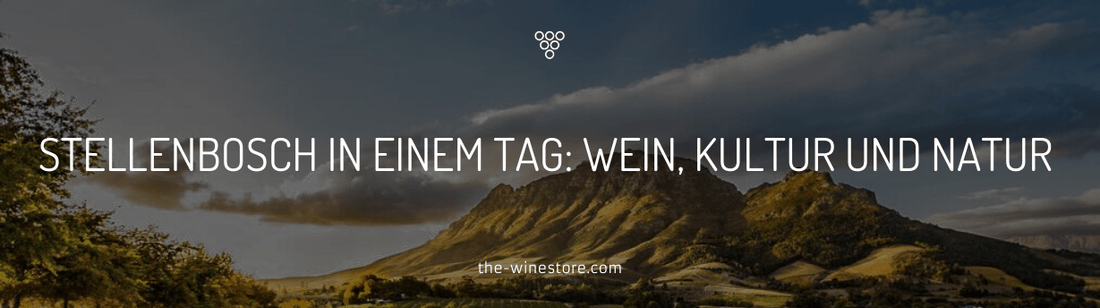 Stellenbosch in einem Tag: Wein, Kultur und Natur - The WineStore