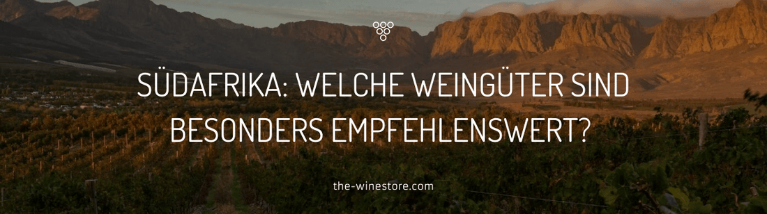 Südafrika: Welche Weingüter sind empfehlenswert? - The WineStore