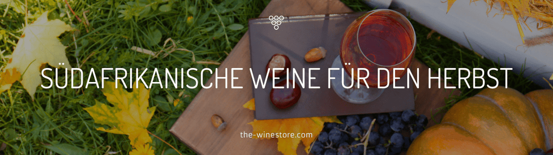 Südafrikanische Weine für den Herbst - Empfehlungen für vollmundige Rotweine - The WineStore