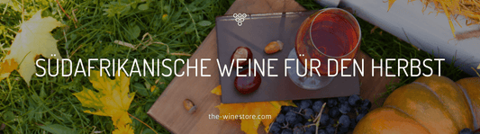 Südafrikanische Weine für den Herbst - Empfehlungen für vollmundige Rotweine - The WineStore