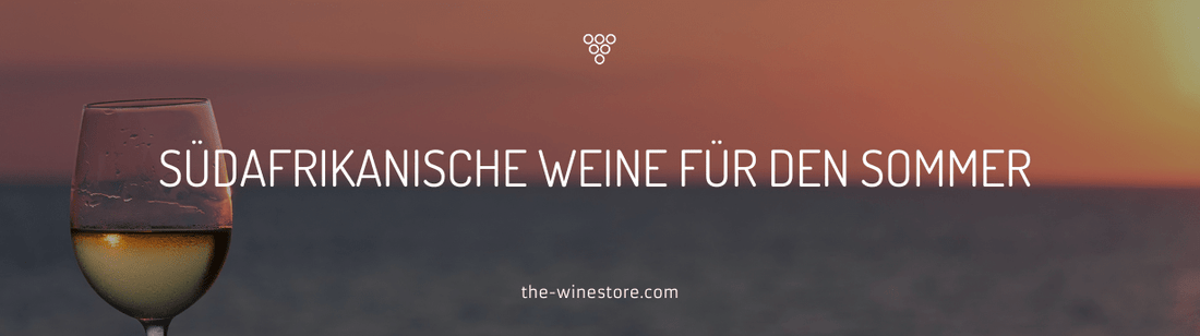 Südafrikanische Weine für den Sommer - Empfehlungen für erfrischende Weißweine und Rosés - The WineStore