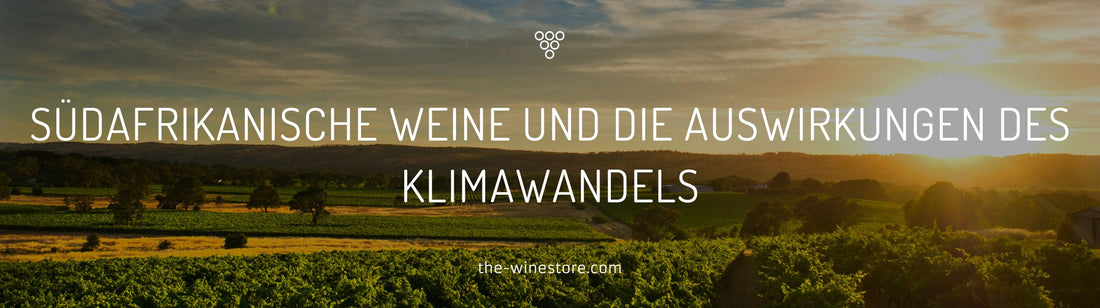 Südafrikanische Weine und die Auswirkungen des Klimawandels - The WineStore