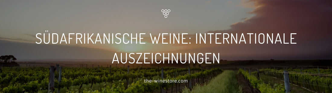 Südafrikanische Weine und internationale Auszeichnungen - The WineStore