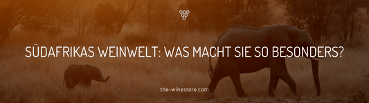 Südafrikas Weinwelt: Was macht sie so Besonders? - The WineStore