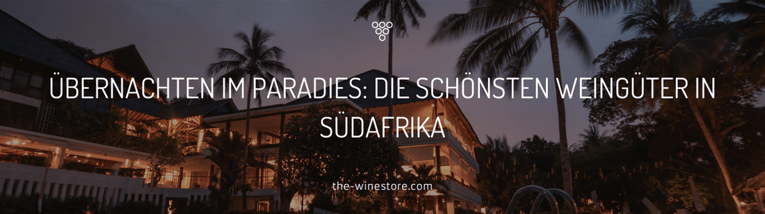 Übernachten im Paradies: Die schönsten Weingüter in Südafrika - The WineStore