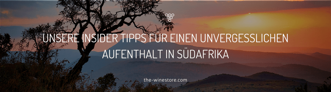 Unsere Insider-Tipps für einen unvergesslichen Urlaub in Südafrika  - The WineStore