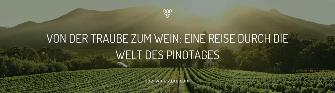 Von der Traube zum Wein: Eine Reise durch die Welt des Pinotages - The WineStore
