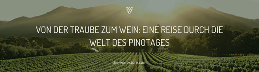 Von der Traube zum Wein: Eine Reise durch die Welt des Pinotages - The WineStore
