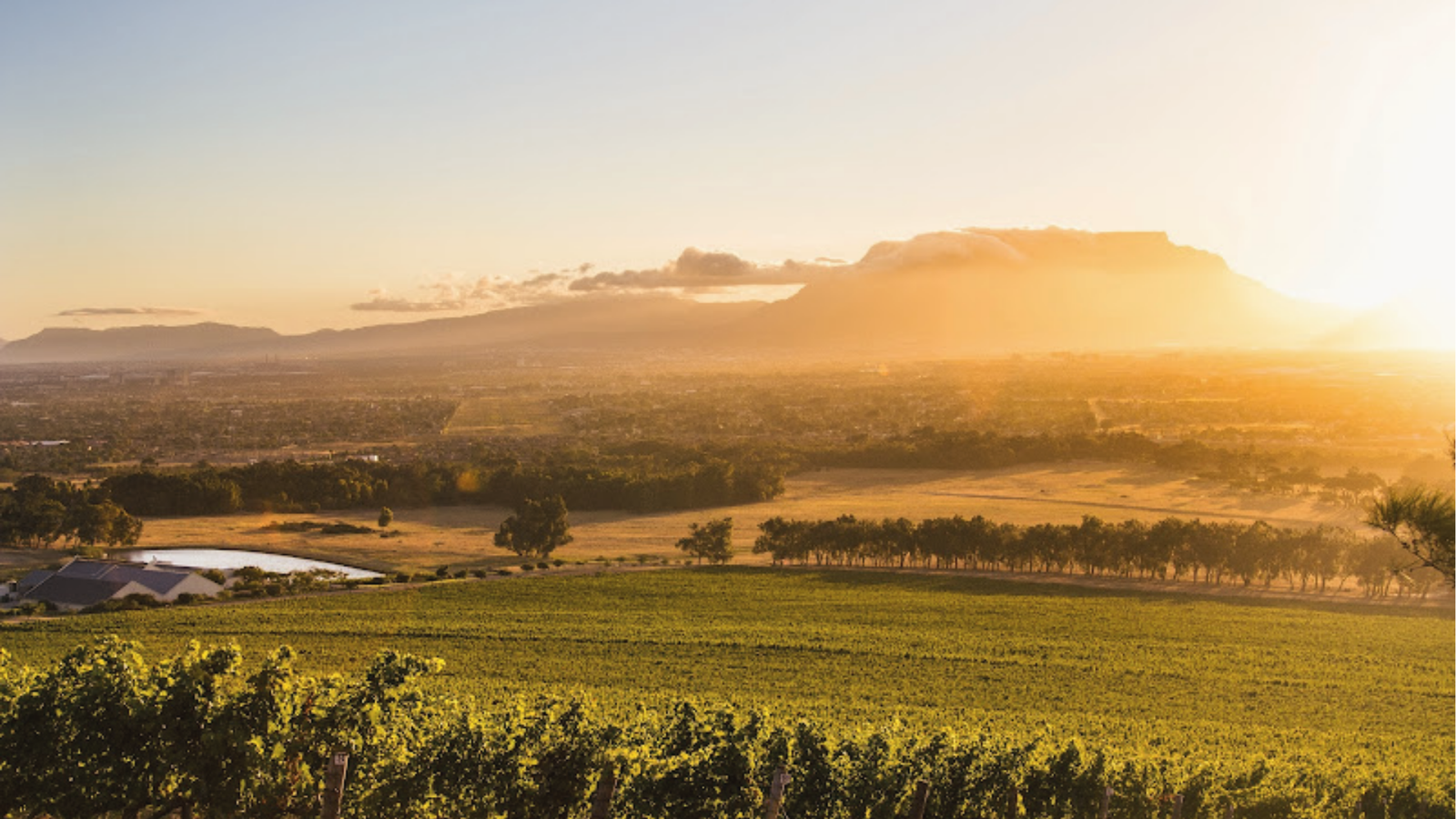 winery-de-grendel