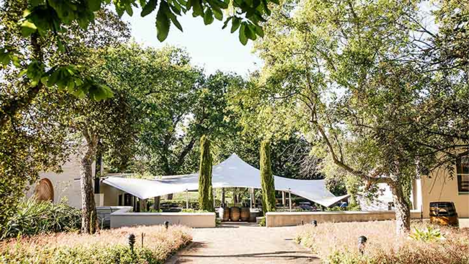 winery-kleine-zalze
