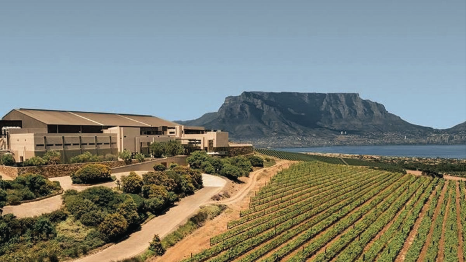 winery-durbanville-hills