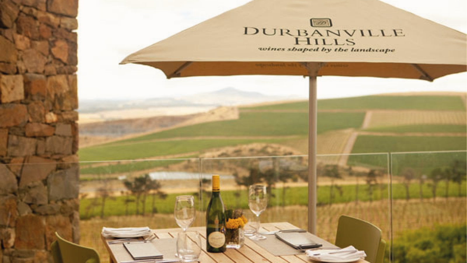 winery-durbanville-hills