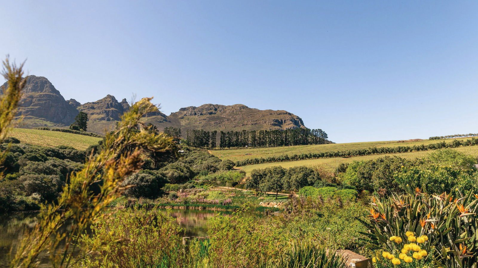winery-hidden-valley