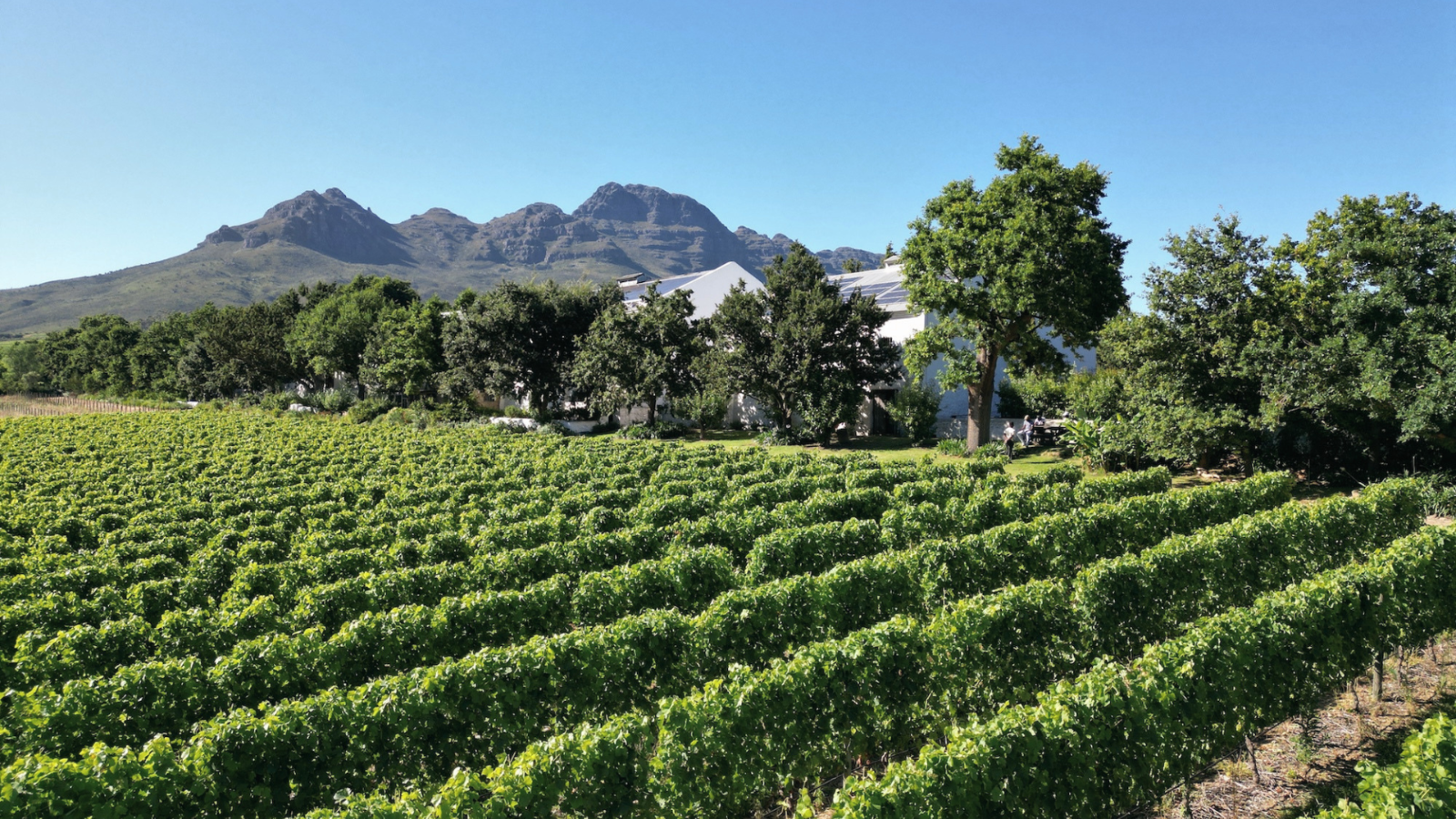 winery-kleinood