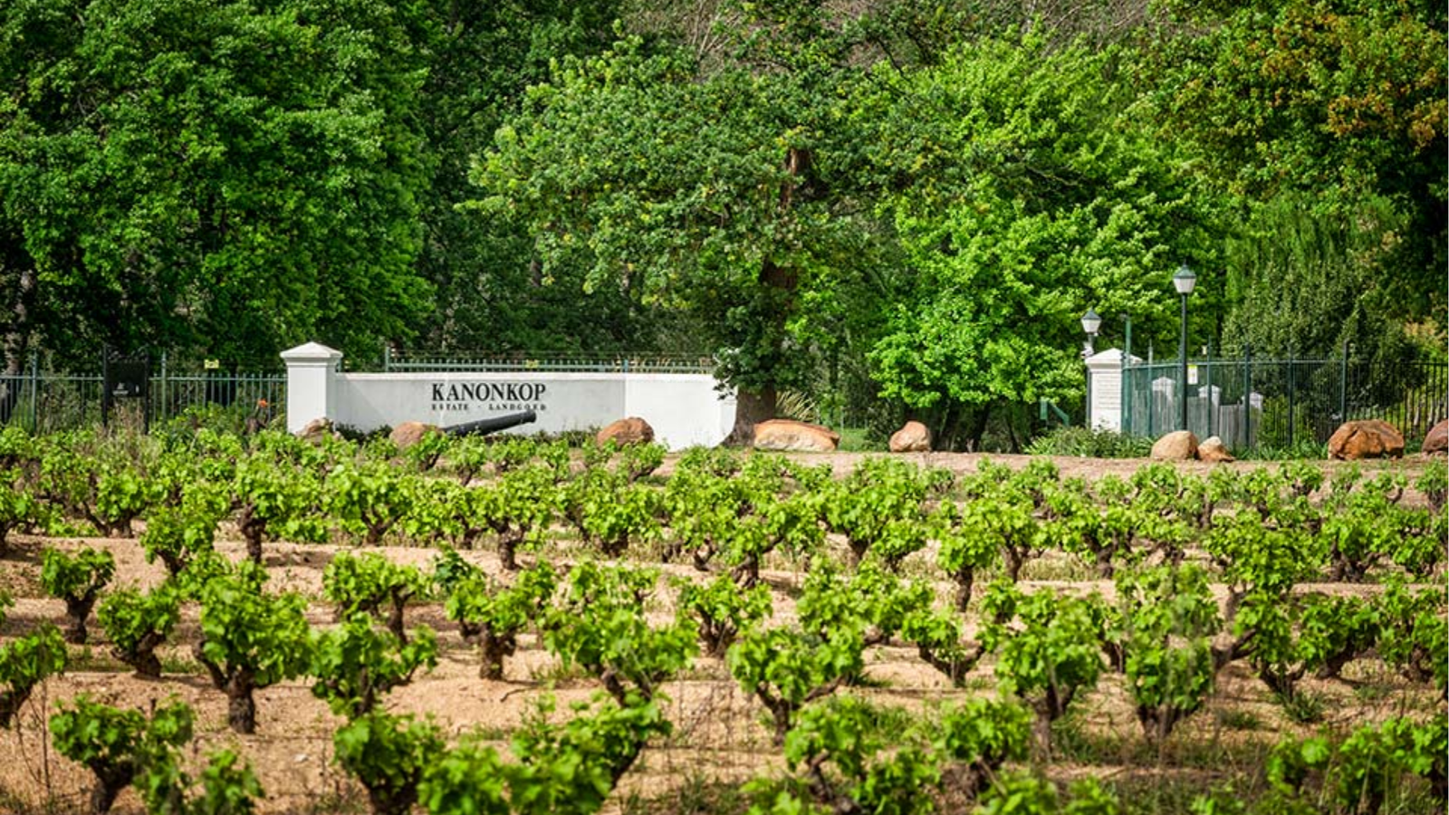 winery-kanonkop