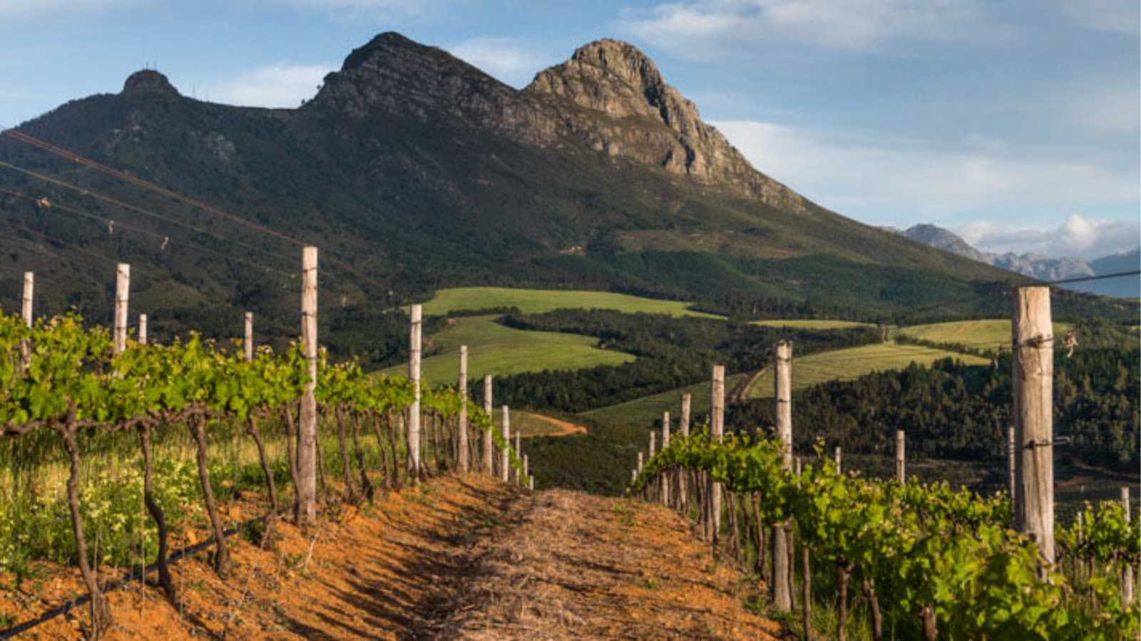 winery-kanonkop