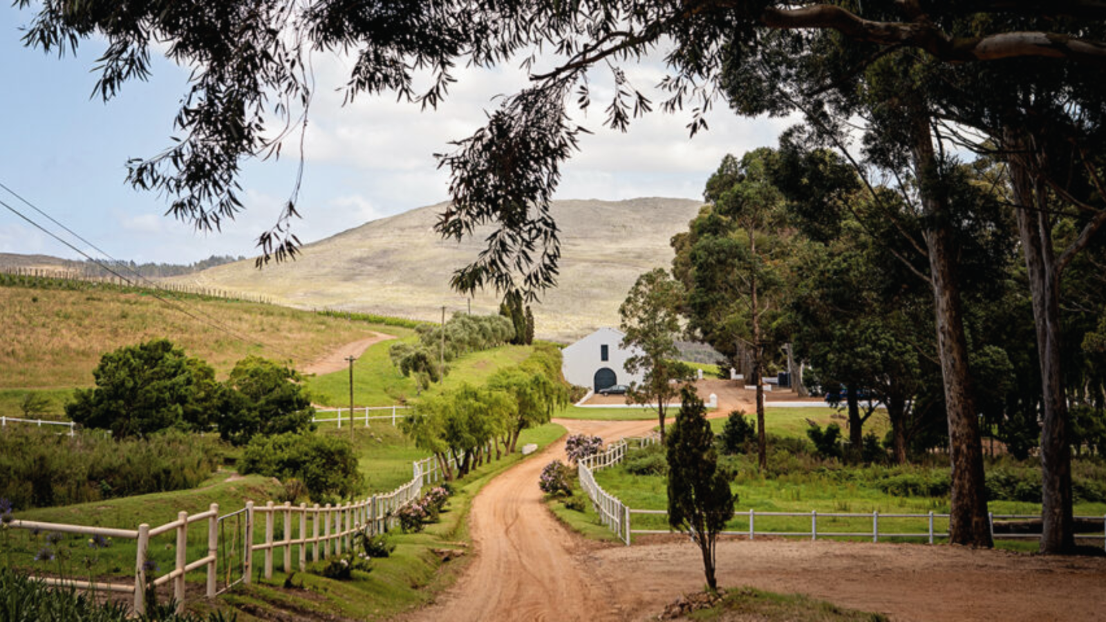 winery-hamilton-russell-vineyards