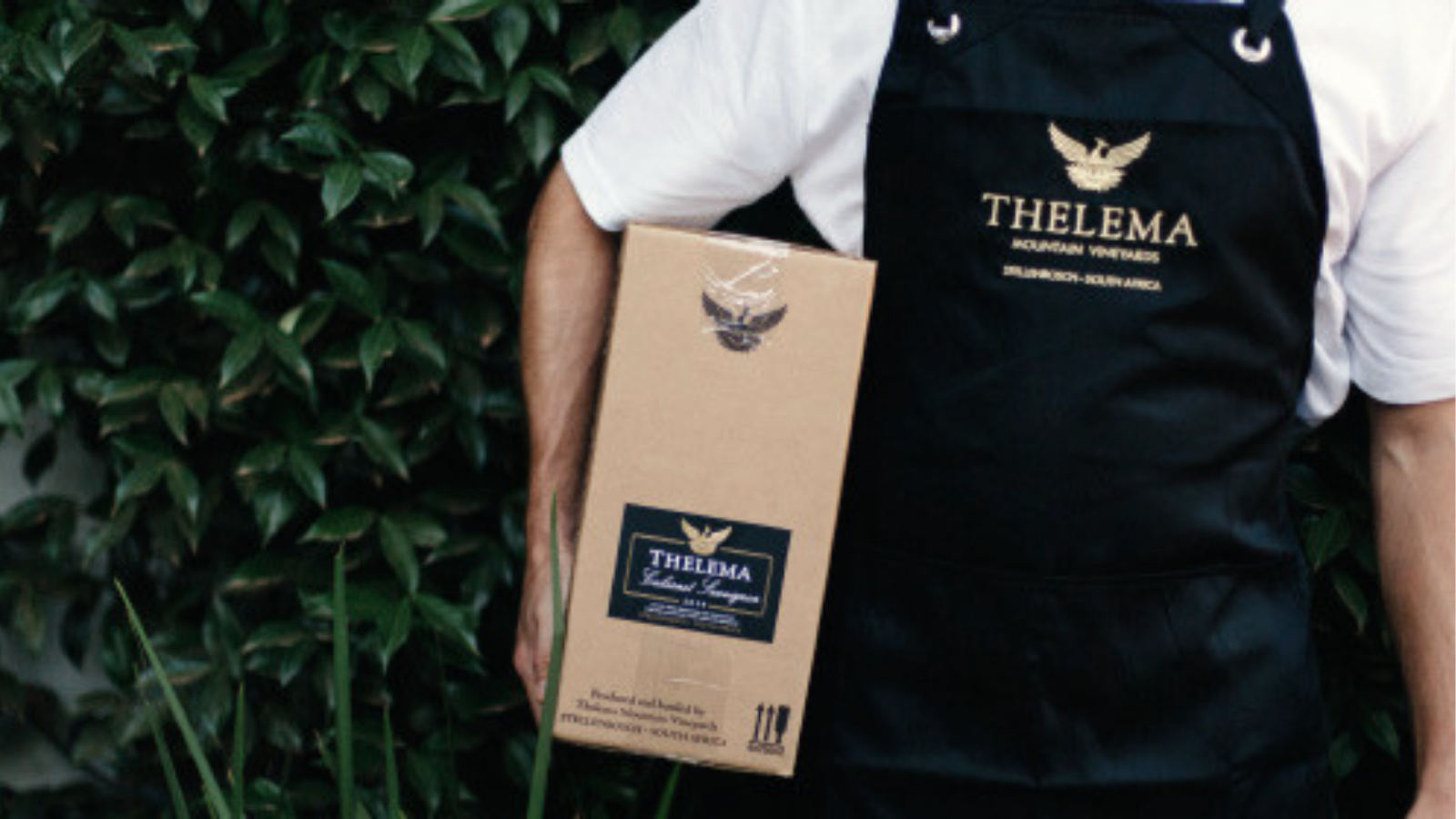 winery-thelema