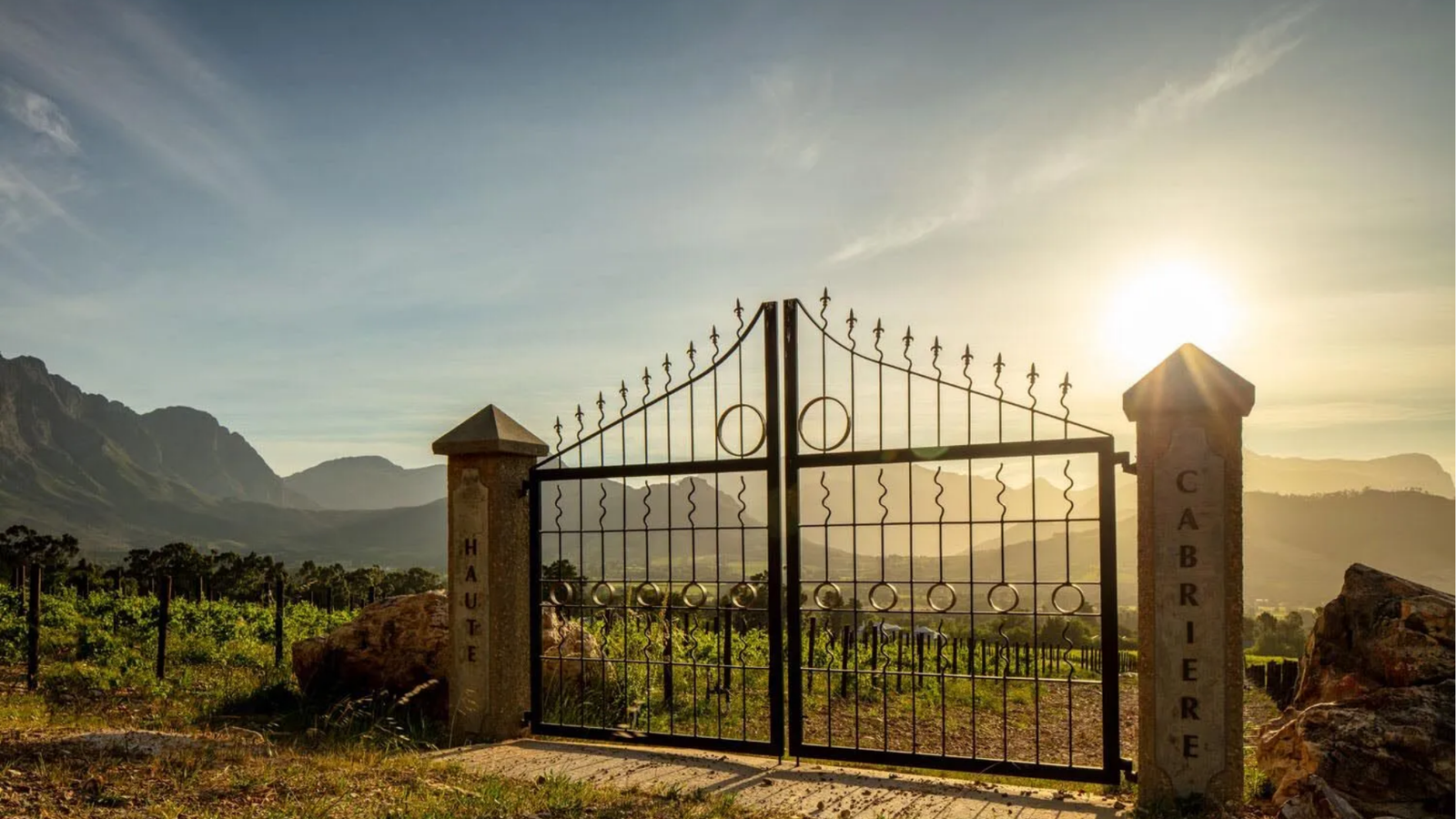 winery-haute-cabriere