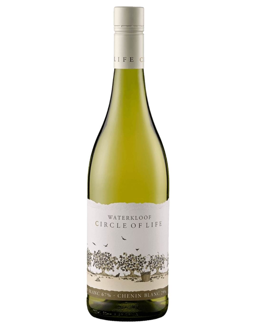 Waterkloof Circle of Life White Online kaufen