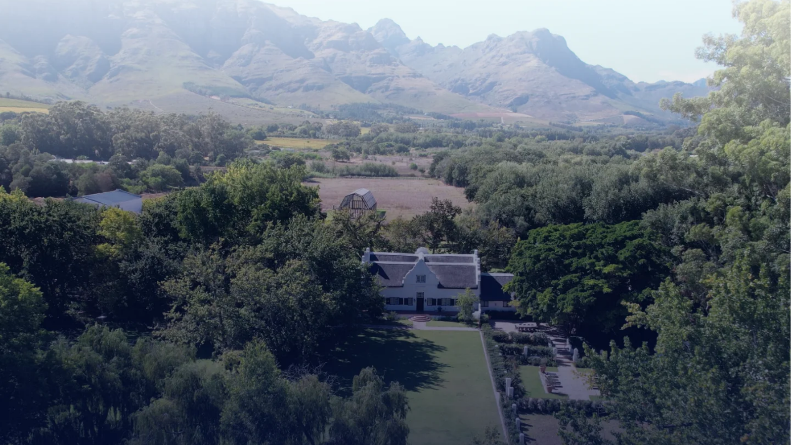 winery-blaauwklippen